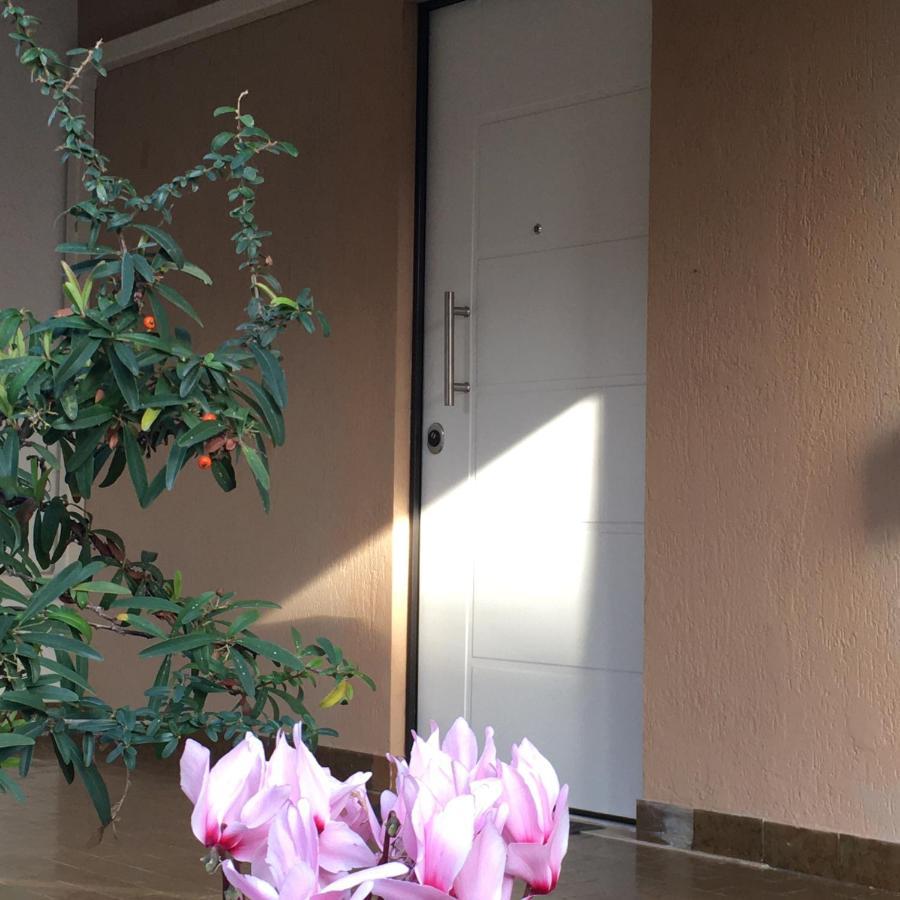 Casa Di Lucia B&B Ladispoli Exterior foto
